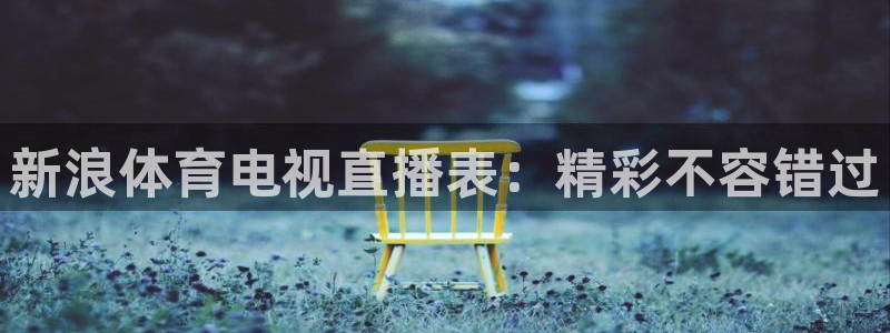 新浪体育电视直播表：精彩不容错过
