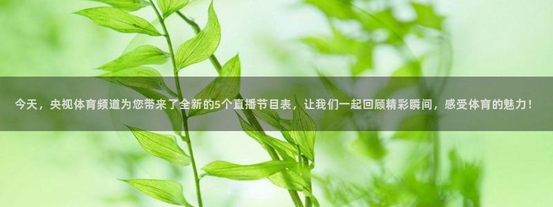 今天，央视体育频道为您带来了全新的5个直播节目表，让我们一起回顾精彩瞬间，感受体育的魅力！